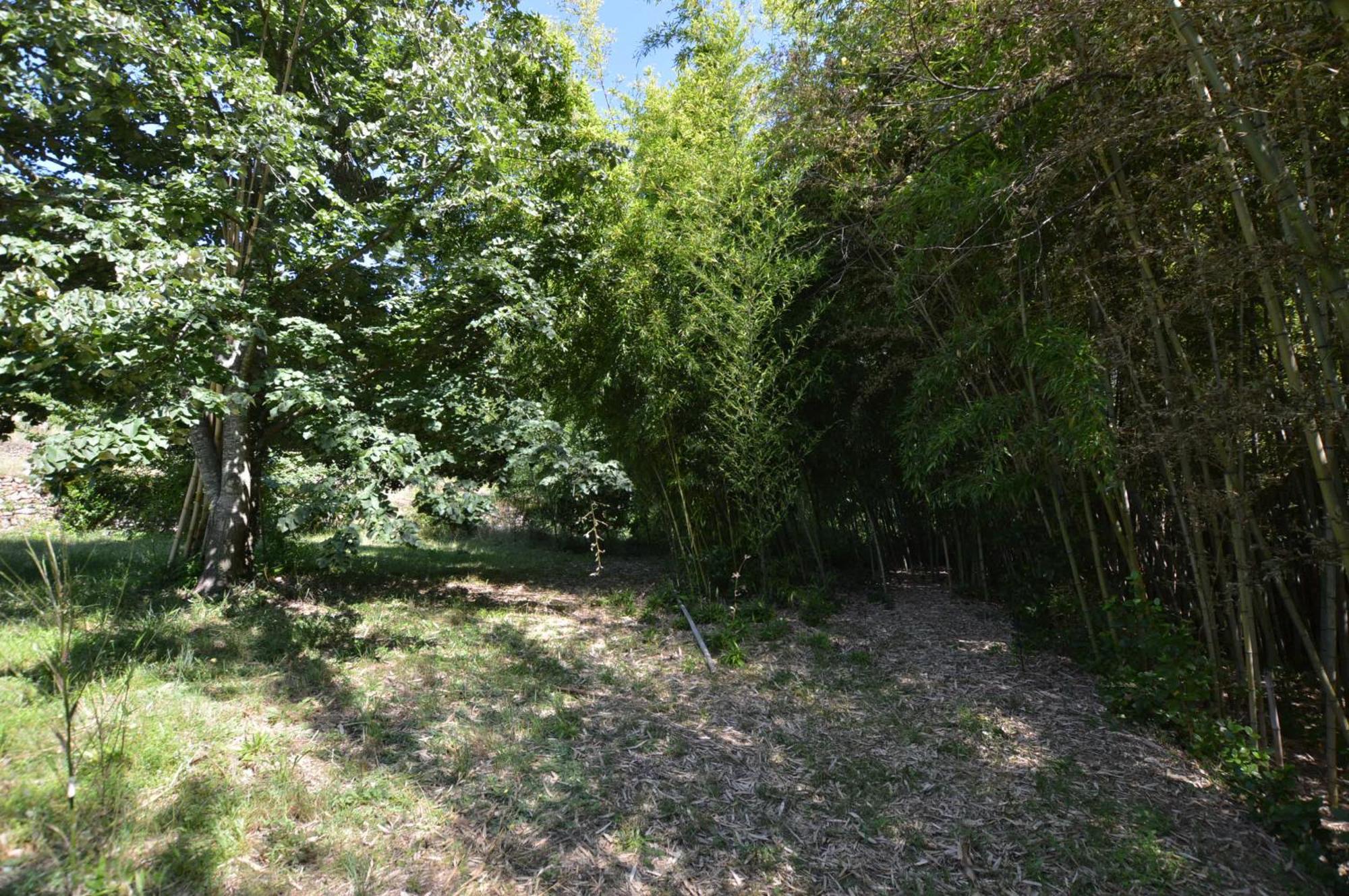 Mas Des Druilles Bed & Breakfast Generargues Exterior photo
