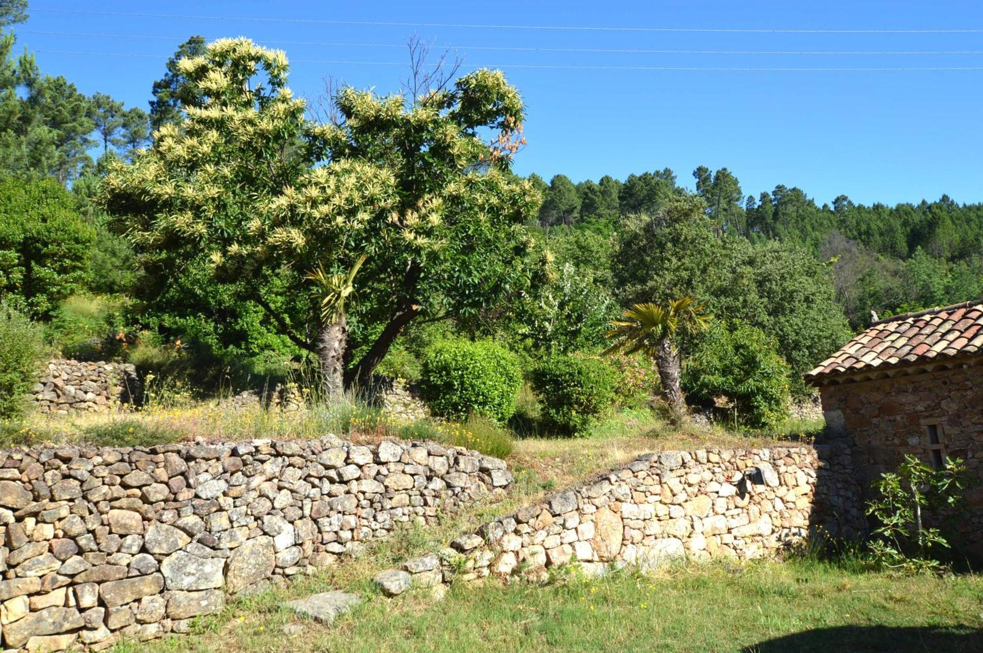 Mas Des Druilles Bed & Breakfast Generargues Exterior photo